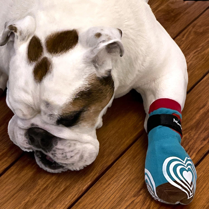 Medical First-Aid Double Sided Anti-Slip Cotton Dog Socks | PawFlex Comfy Pawz Silicone Nonslip at Inner Cuff for No Twisting or Sliding Off | Pet Paw Protection |Wound Care | Traction Control Medium Teal First Aid