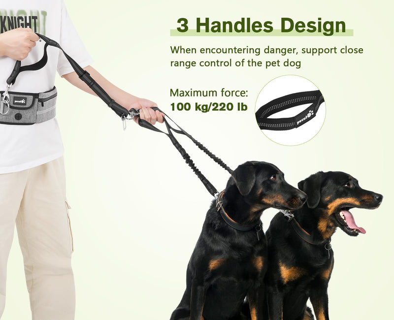 Pecute Hands Free Dog Leash 2 Dogs, Waist Belt Fanny Pack with Soft Padded, Dual Dog Leash with Pouch, 3 Padded Handles, Durable Bungee, Double Dog Leash for Running Walking Hiking Jogging Biking Gray-new - PawsPlanet Australia