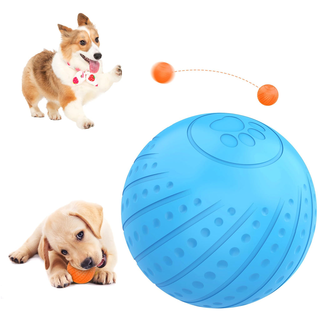 Interactive Dog Toy Ball 2.3'' 2 Interactive Modes Soft Enhanced Rubber Bite Resistant Durable Motion Activated Automatic Rolling Ball Toys with LED blue - PawsPlanet Australia