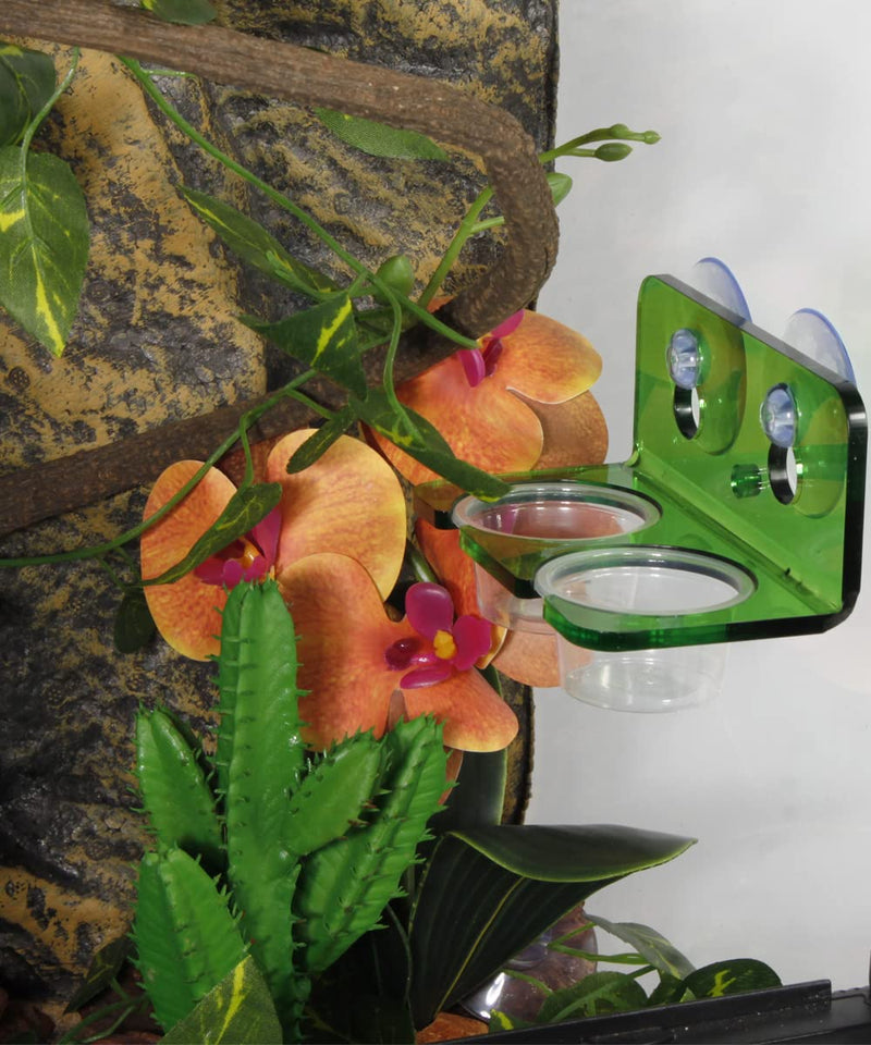 1oz Crested Gecko Food Cups, 100Pcs Reptile Plastic Feeding Dish - PawsPlanet Australia