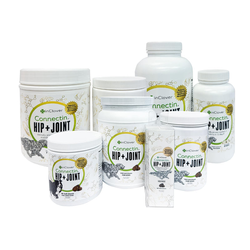 InClover Connectin Natural Hip & Joint Supplement for Dogs with Glucosamine, Chondroitin & Hyaluronic Acid - Soft Chew for Dog Mobility, Comfort & Active Lifestyle Support, 20 Count Soft Chews - PawsPlanet Australia