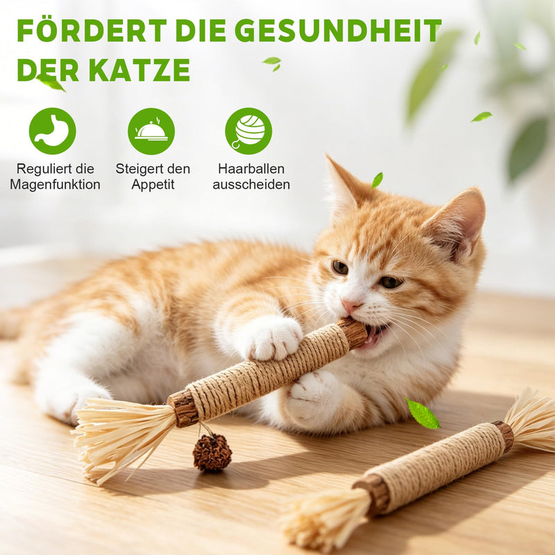 LATRAT 6 Catnip Sticks, Cat Dental Care and Against Bad Breath, Safe Cat Chew Toy for Stress Relief, Catnip Toy for Kittens & Cats