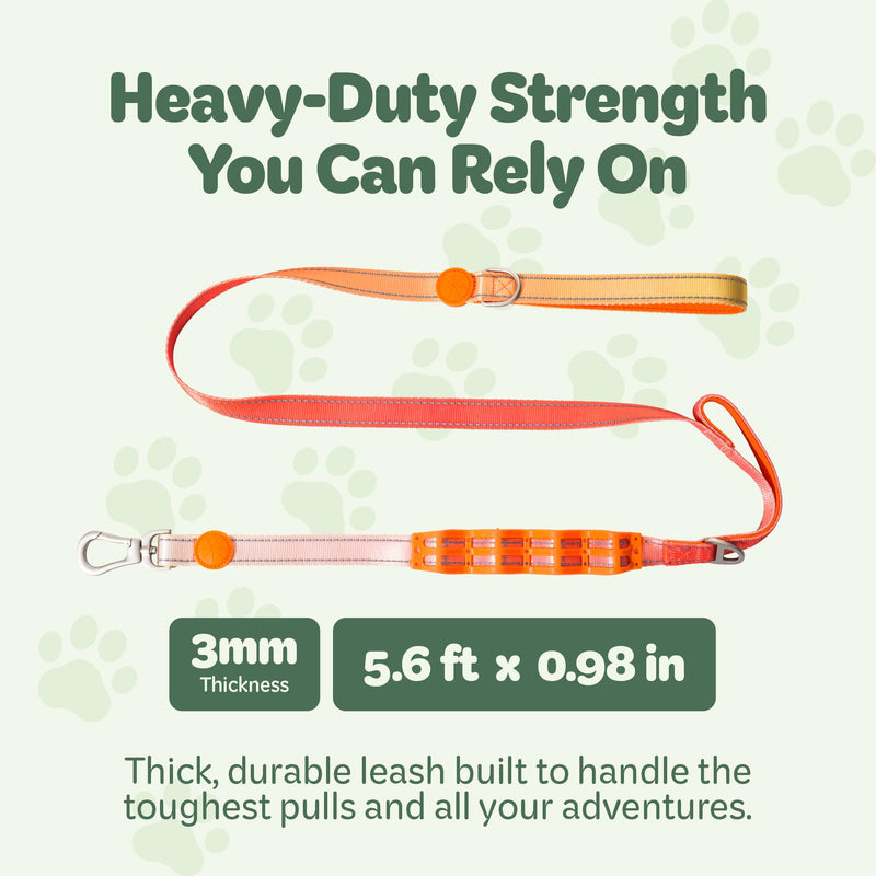 Desired Things Bungee Dog Leash Reflective Training Leash with Shock Absorbent Spring, Emergency Pull Handle, Collar Latch, D-Ring Buckle for Dog Treats, Poop Bags, Puppy Essentials - Pink and Orange - PawsPlanet Australia