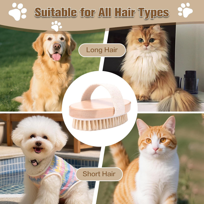 Soft Pet Palm Brush for Dog & Cat, Dog Palm Shampoo Brush for Grooming & Cleaning, Handle Brushes for Short & Long Haired Cat, Natural Pet Fur Care Oil for Reducing Shedding, Shining Coat - PawsPlanet Australia