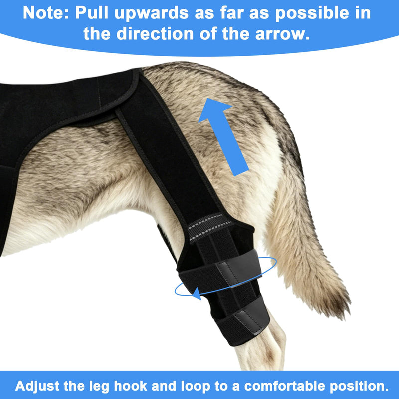 Penitue Dog Knee Brace Hind Leg, Adjustable Dog Hind Leg Braces Support System with 4 Stabilizers & Hip Support (XL) XL