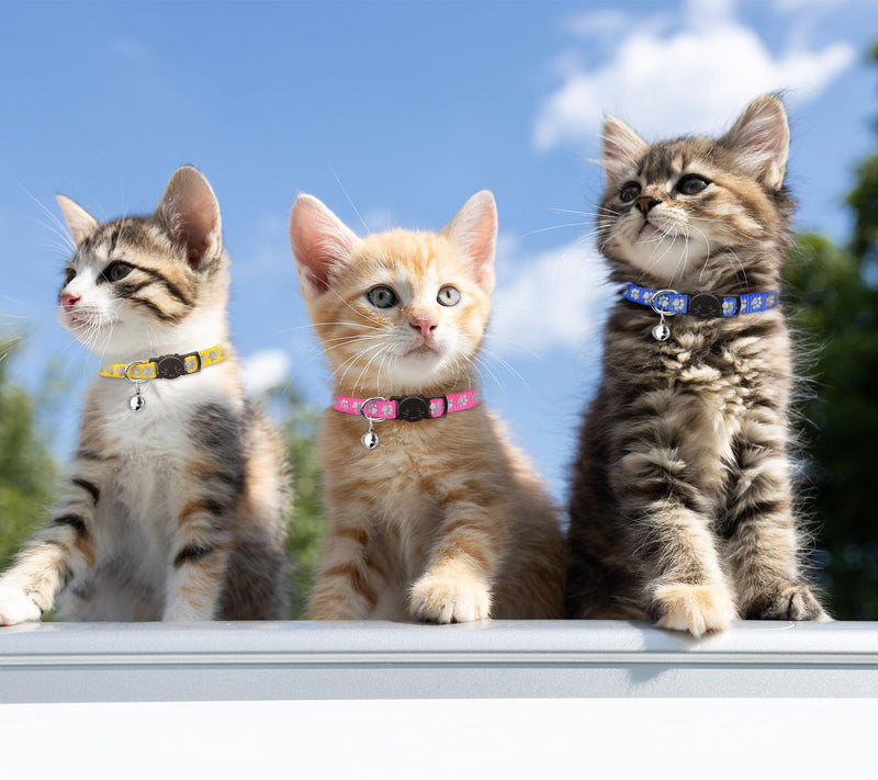 16 PCS Breakaway Cat Collars with Bells Reflective Cat Collar Safety Nylon Kitten Collars Cat Collars for Girl Boy Cats(6"-9") Kittens(6" - 9") - PawsPlanet Australia