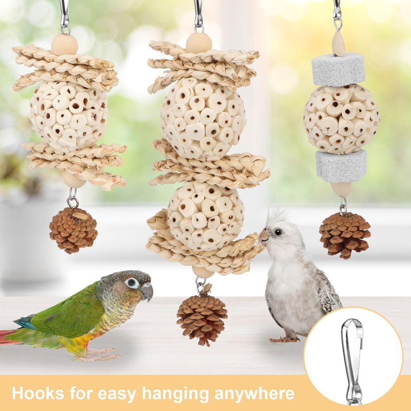Wontee Bird Toys 3 Pack Parrot Foraging Hanging Toys Sola Ball Natural Nuts Chew Toys for Cockatiels Conures Parakeets Budgies Senegal (3 Pack) - PawsPlanet Australia