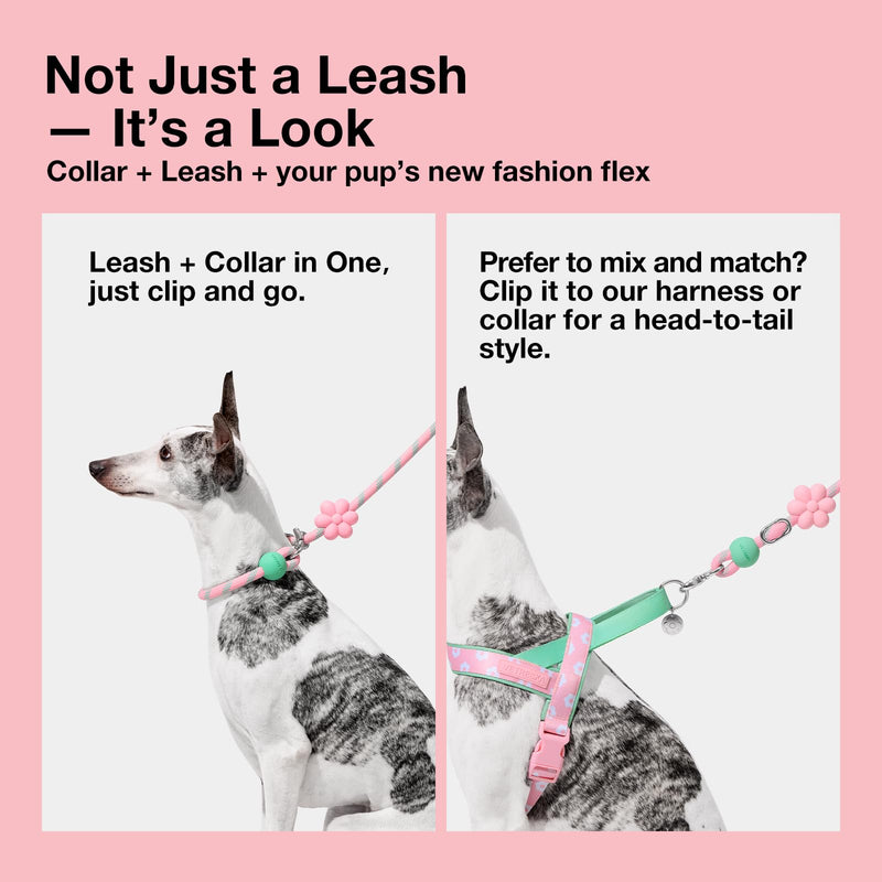 VETRESKA Hands-Free Dog Leash, 8FT Adjustable Rope Leash for Medium Large Dogs, Waist/Crossbody Slip Lead Leashes for Walking, No Pull Dog Leashes with Bag Dispenser, Clip, 3 in 1 Walk Kit (Flora) Flora Pink - PawsPlanet Australia
