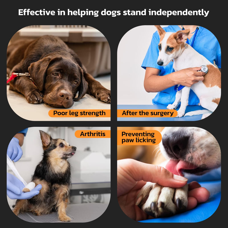 Anti-Slip Dog Paw Protector Pads for Senior Dogs, Dog Paw Black Stickers with Strong Traction on Hardwood Floor, Dog Essentials,12sets(48pcs) XL(41-60lbs) XL(41-60lbs) - PawsPlanet Australia