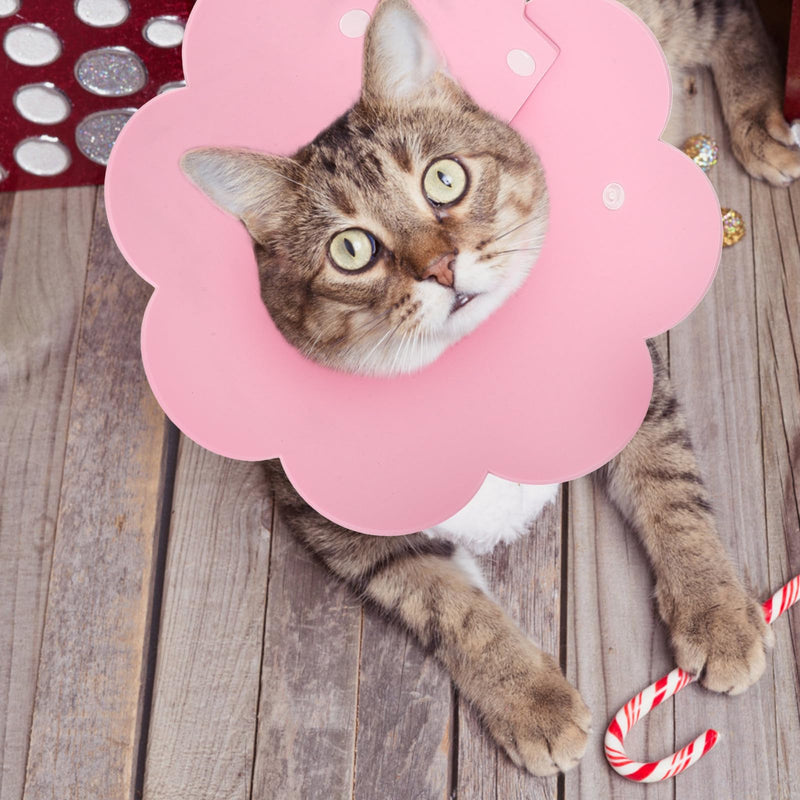 POPETPOP Adjustable Cat Neck Brace for Wound Healing Made of Breathable Material with Anti-Leak Protection for Cats After Surgery and Care