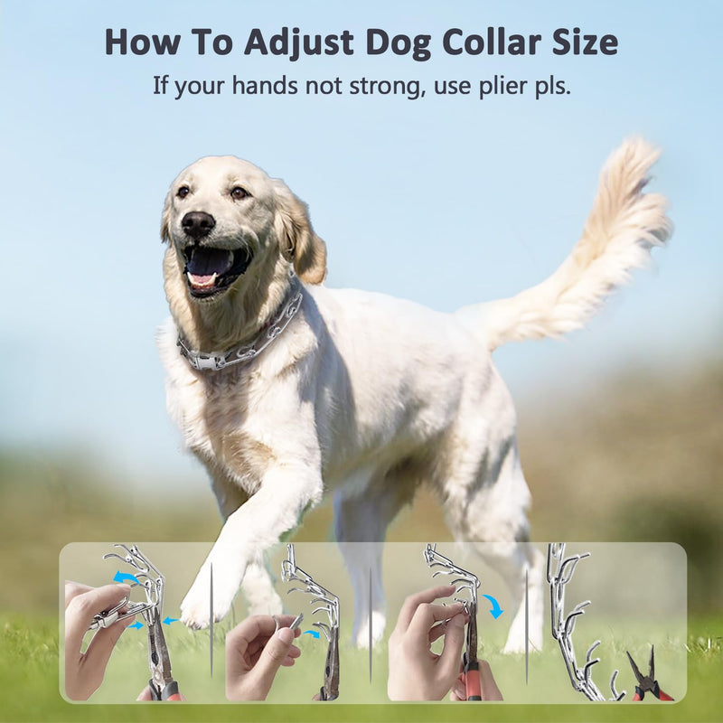 Dog Collar with Buckle Adjustable Dogs Collars for Small Medium Large Dogs (XL:4.0mm(Neck 22-26")) XL:4.0mm(Neck 22-26") - PawsPlanet Australia