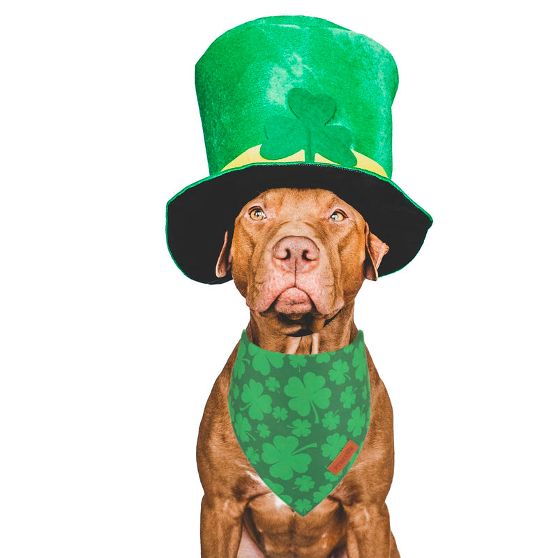 St. Patrick's Day Dog Bandana, Reversible Dog Scarf, Multi Size Offered, Green Shamrock Pet Bandanas for Large and Extra Large Dogs Pets (St. Patrick's Day, X-Large) St. Patrick's Day - PawsPlanet Australia