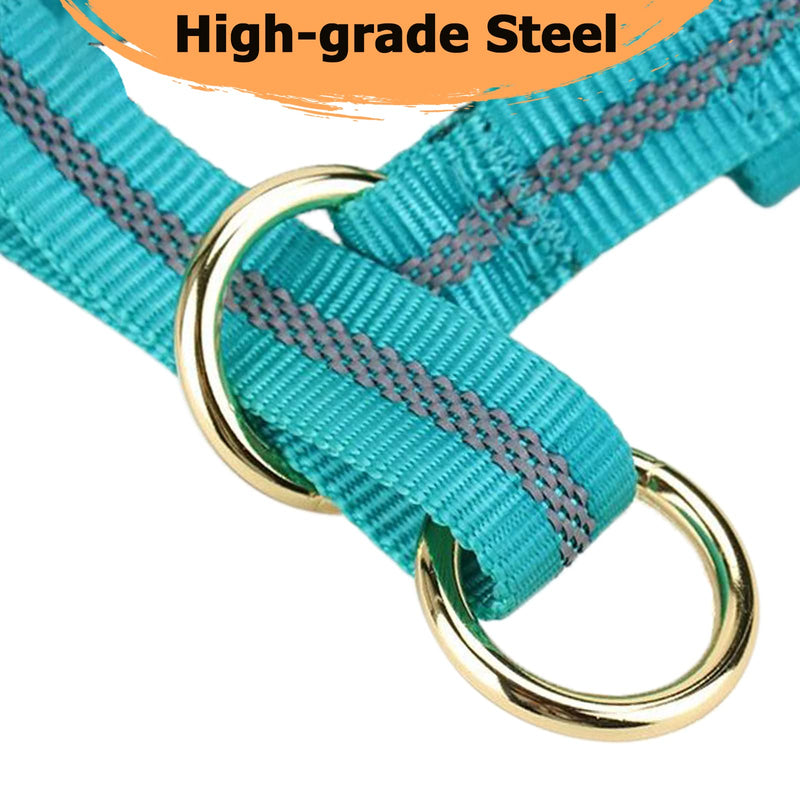 BARKLESS Dog Head Collar, No Pull Dog Halter with Soft Padding, Reflective Training Tool for Medium Large Dogs, Labrador, Stops Heavy Pulling and Easy Control on Walks L Turquoise