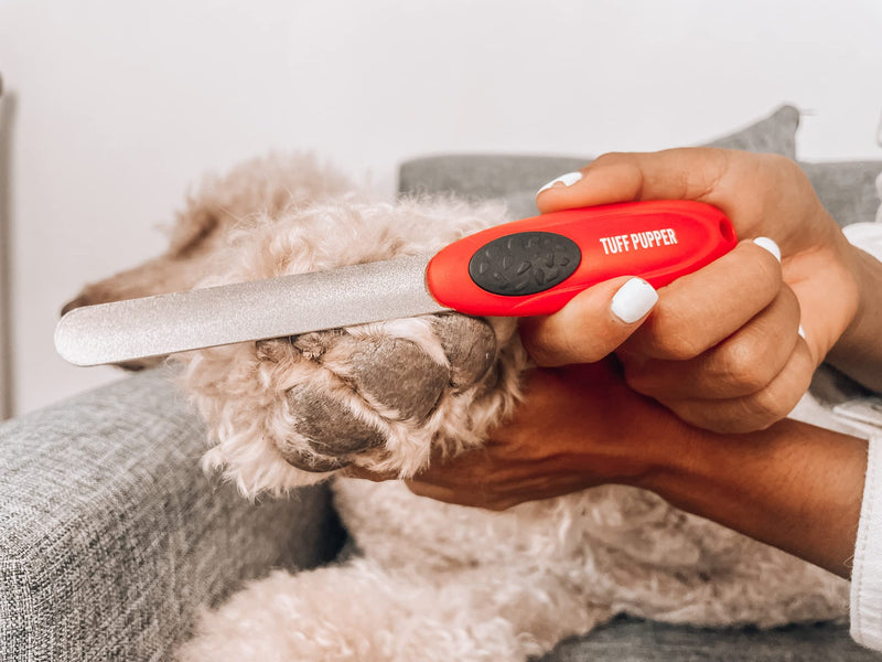 Tuff Pupper Dog Nail Clipper | Bonus Free Nail File | Razor Sharp Stainless Steel Blades | Protective Safety Guard Prevents Over-Cutting | Sturdy Non Slip Handles for Safe Grooming | Medium Large Dogs - PawsPlanet Australia
