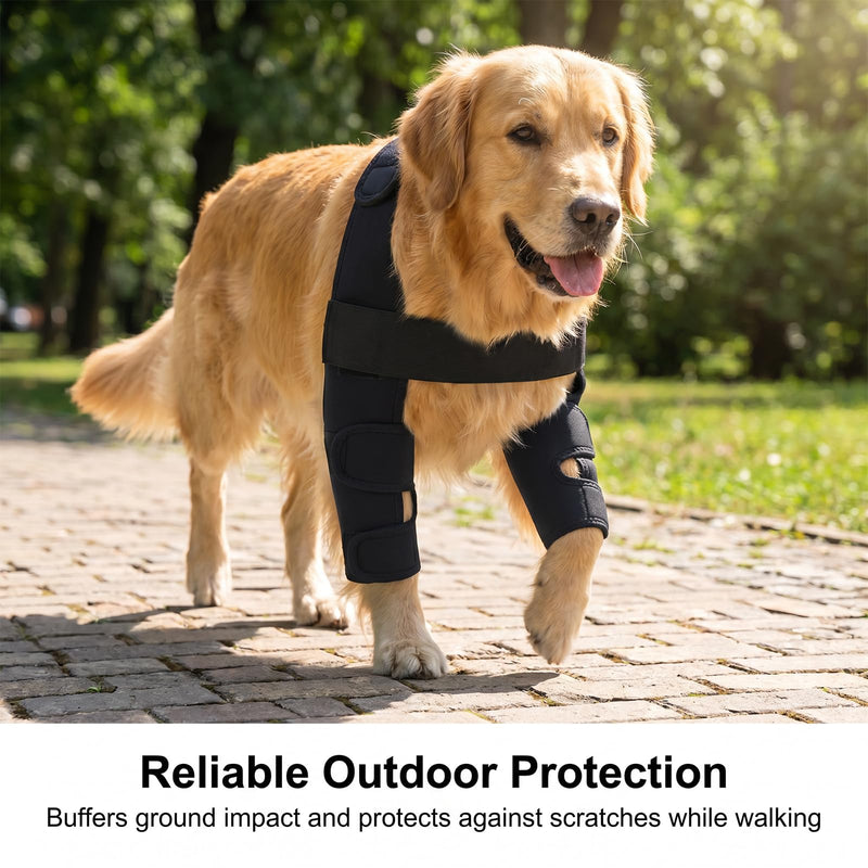 Dog Double Front Leg Braces, Breathable Canine Front Leg Support Wrap, Adjustable Dog Knee Brace for Joint Injury, Arthritis, Post Surgery Recovery, Outdoor Walking Protection, Black S Size