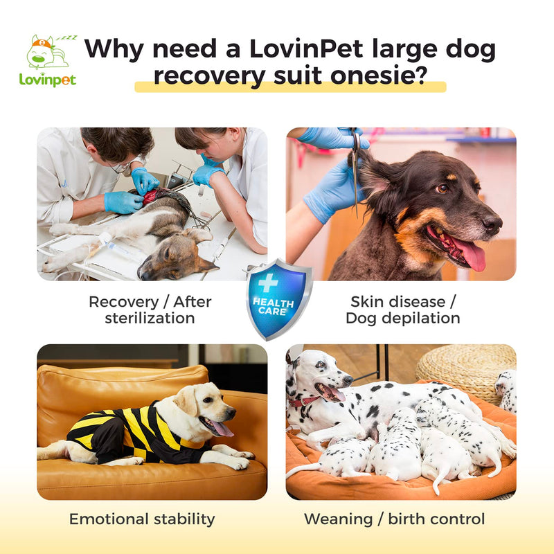 LovinPet Dog Recovery Suit for Large Medium Dogs Bodysuit Onesie for Shedding Skin Disease Pet Pajamas Dog Anti Licking Snugly Suit Dog Bodysuit for Abdominal Wound After Surgery,Yellow/Black,3XL 3XL Black collar/Yellow - PawsPlanet Australia