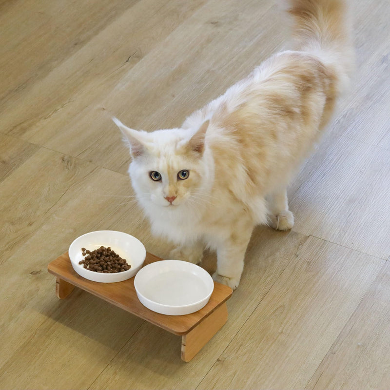 ComSaf Raised Cat Bowl with Stand, Melamine Elevated Cat Food Bowl, 15° Tilted Cat Water Bowl Set, 2 Pack of Feeding Dishes For Cats and Puppy, Protect Pet's Spine, Whisker Stress Free Anti Vomiting Melamine Bowl with Stand