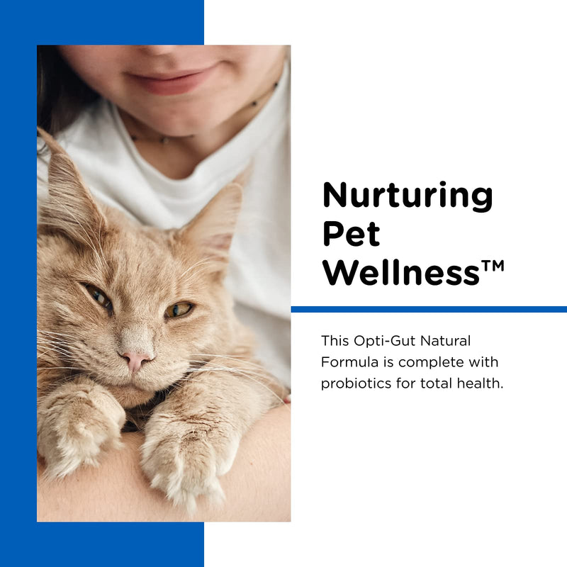 Nutri-Vet Milk Replacement for Kittens + Lixit Nursing Bottle Kit