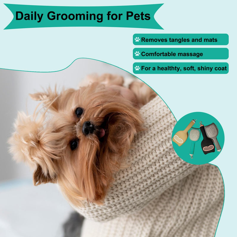 Soft Bristle Cat-Ear Puppy Brush Small Dogs Gentle Comb Grooming Tool Yorkie Shih Tzu Maltipoo Maltese (Sky Blue) Sky Blue