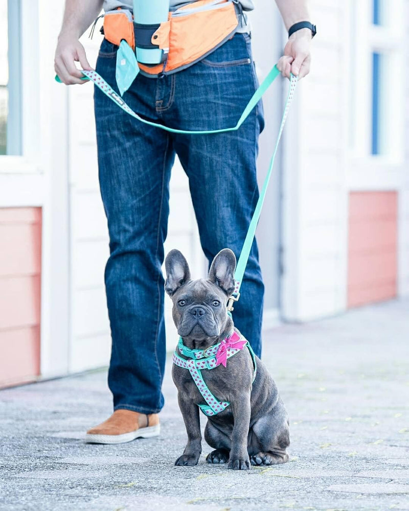Blueberry Pet Valentine's Day Dog Leash, Velvety Soft-Touch Heart Flocking Lead for Small Dogs, Minty Green, 5 ft x 5/8" Flocking Print - Minty Green - PawsPlanet Australia
