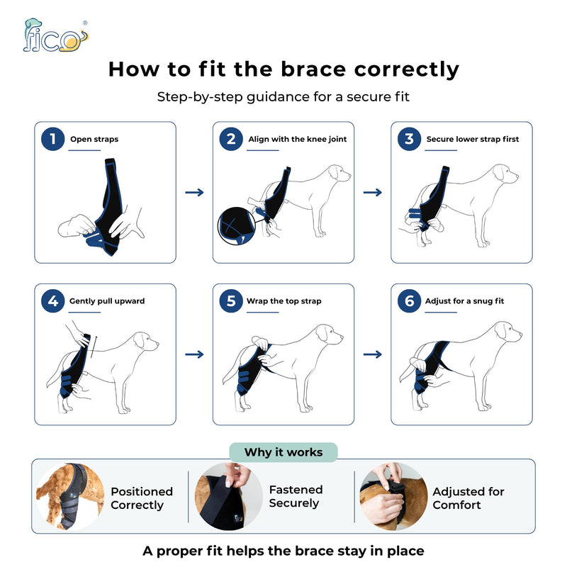 Dog Knee Brace for Hind Leg Support - Left Leg, CCL ACL Brace for Dogs, Vet Approved, Adjustable Orthopedic Support for Arthritis, Ligament Injuries & Post-TPLO Surgery Recovery (Small) Small