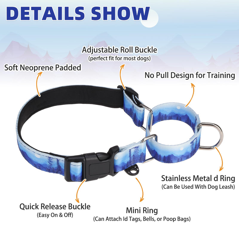 KOOLTAIL Martingale Collar for Dogs for Small Medium Large Dogs, Soft Padded Nylon No Pull Dog Collar with Buckle, Adjustable No Slip Heavy Duty Durable Puppy Training Collar for Boys Girls, Blue S