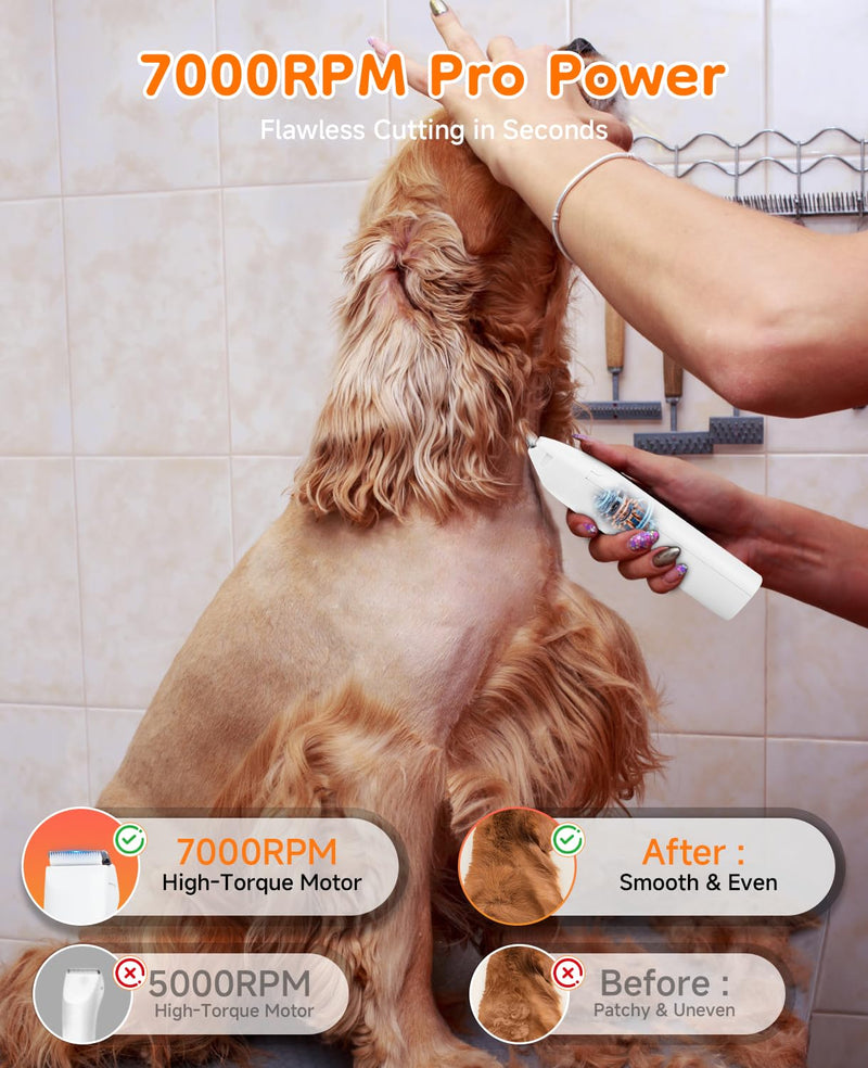 Dog Grooming Kit Quiet, 14 in 1 Dog Hair Trimmers with Paw Nail Grinder & Pet Clippers, Low Noise,Waterproof, Rechargeable, 3 Blades for Paws, Eyes, Ears, Face – Safe for Dogs & Cats - PawsPlanet Australia