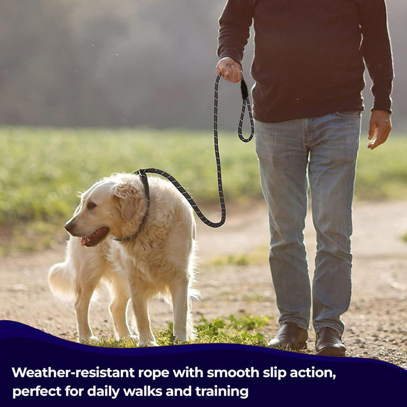 1.8m Rope Dog Lead, Slip-On Rope Leash No Collar or Harness Needed, Dog Training Leash, Suitable for Training or Walking, Adjustable Pet Lead (Black) Black - PawsPlanet Australia
