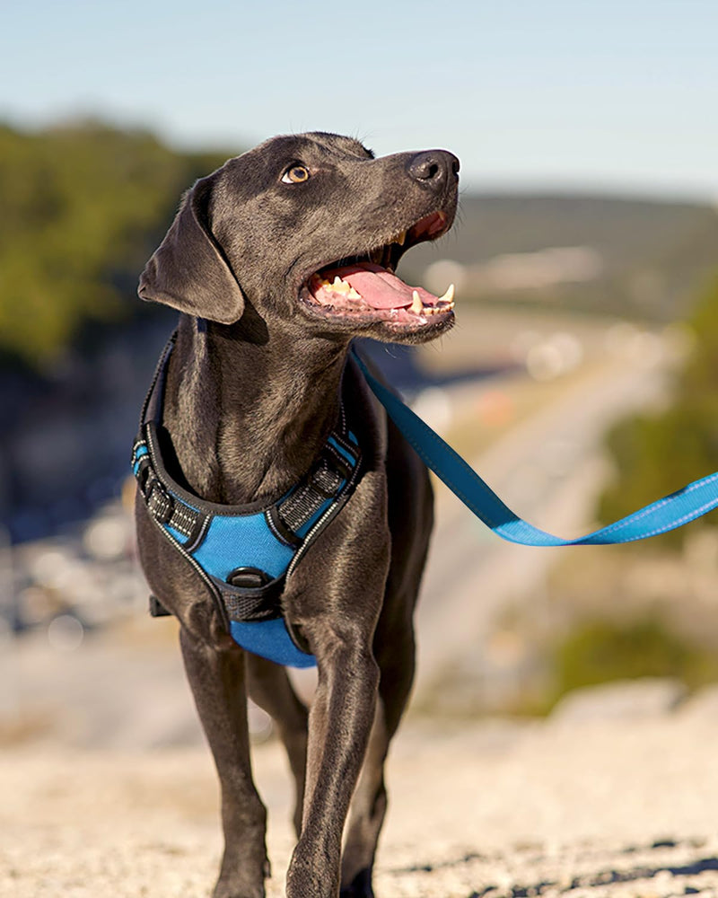Joytale No Pull Dog Harness for Large Dogs, Reflective Pet Vest with Front Clip, Adjustable Soft Padded Harnesses with Easy Control Handle for Training and Walking, Sky Blue, L SkyBlue - PawsPlanet Australia