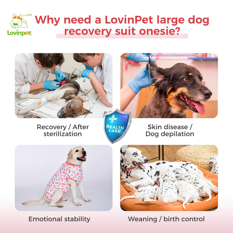 LovinPet Dog Surgery Recovery Suit - Onesie for Dogs After Surgery Female & Male Anti-Licking Protection Full Body Coverage for Anti-Shedding Medium Pink/red - PawsPlanet Australia