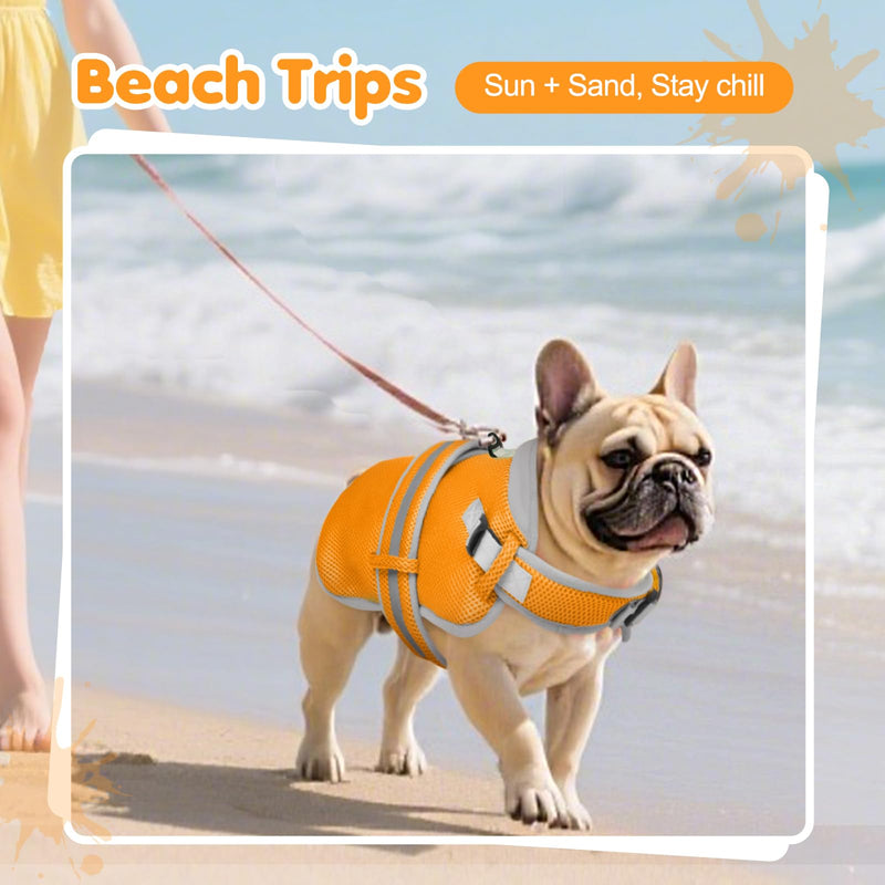 Dog Cooling Vest for Medium Dogs,Lightweight Cooling Dog Jacket,Breathable Mesh Dogs Shirt Harness Vest with Adjustable Straps Reflective Stripe for Hot Weather with D-Ring for Beach,Hiking,M Orange - PawsPlanet Australia