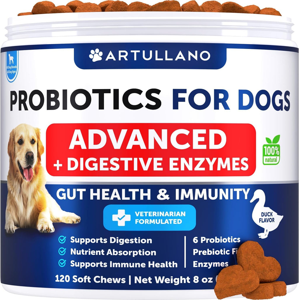 Probiotic Chews for Dogs - Immunity Support - Probiotics & Prebiotic & Enzymes - PawsPlanet Australia