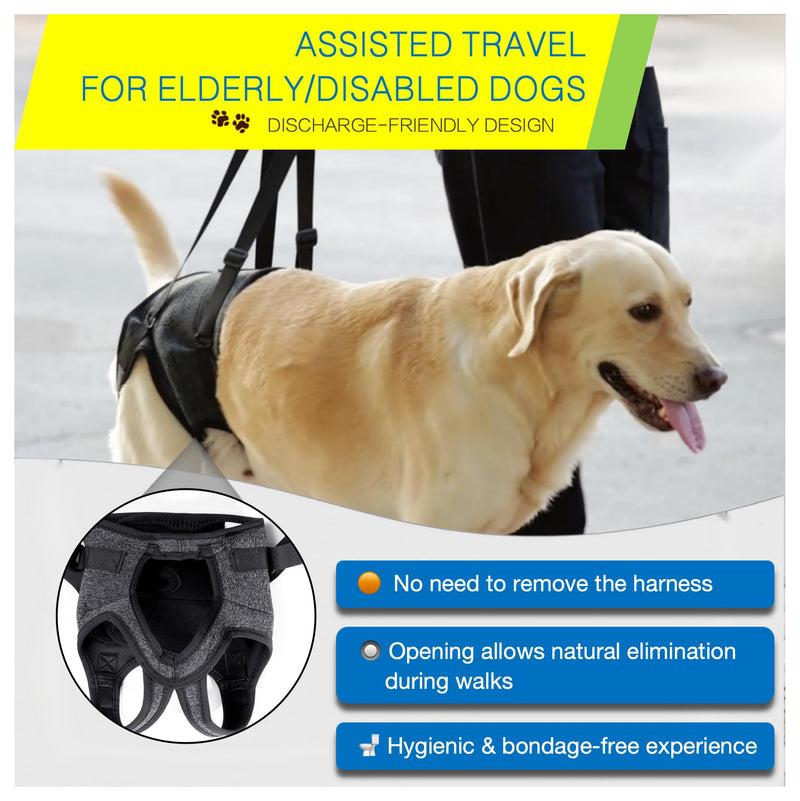 Dog Lift Harness for Back Legs–Sturdy Dog Support Sling–Hip Sling Carrier for Large/Medium/Small Canine, Stair Helper for Aid Old Ligament Rehabilitation Pet, Grey,L L-waist 19"-24" - PawsPlanet Australia