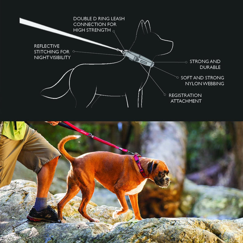 EzyDog Double Up Premium Nylon Dog Collar with Stitching - Double D-Rings for Superior Strength, Safety, and Comfortability - Non-Rusting and Includes an ID Attachment (Medium, Corduroy) m - PawsPlanet Australia