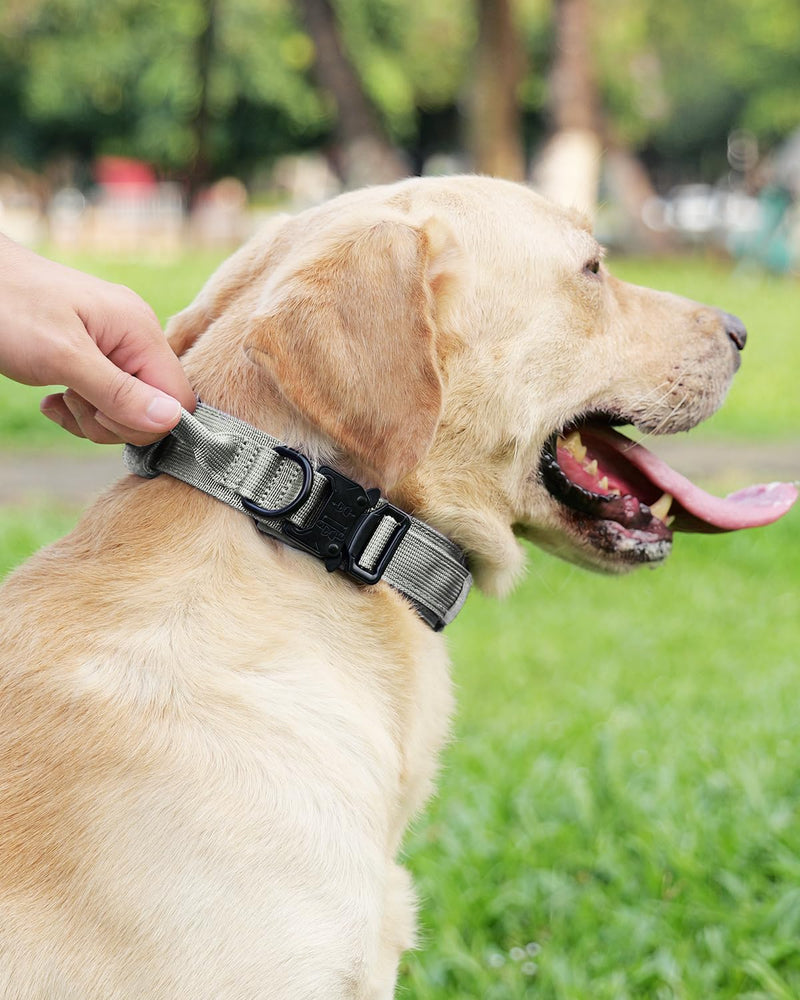 Joytale Tactical Dog Collar(17"-21") and Dog Leash Set, Shock Absorbing Bungee Dog Leash and Adjustable Strong Dog Collar with Handle for Large Dogs(Red,L)