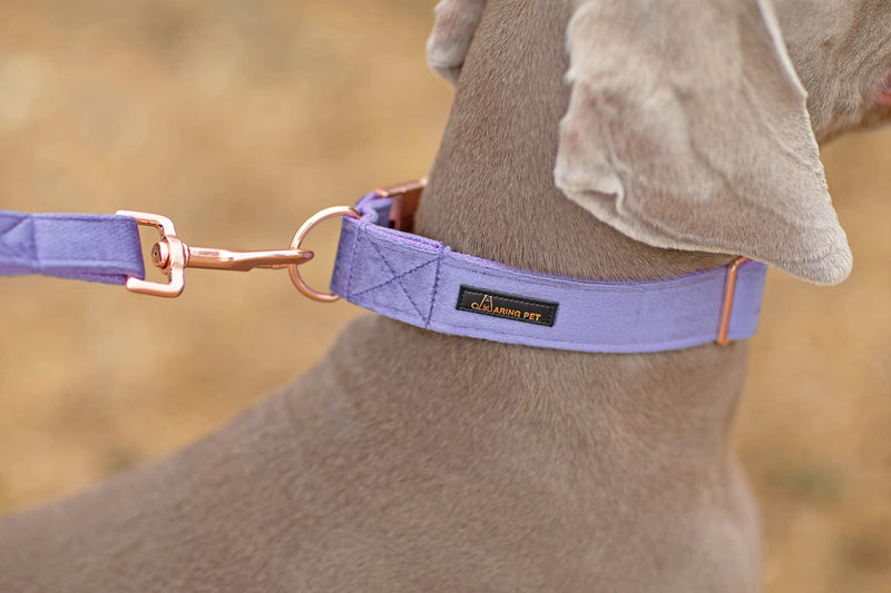 ARING PET Velvet Dog Collar and Leash Set, Soft Purple Dog Collar and Leash, Adjustable Collars for Dogs X-Large - PawsPlanet Australia