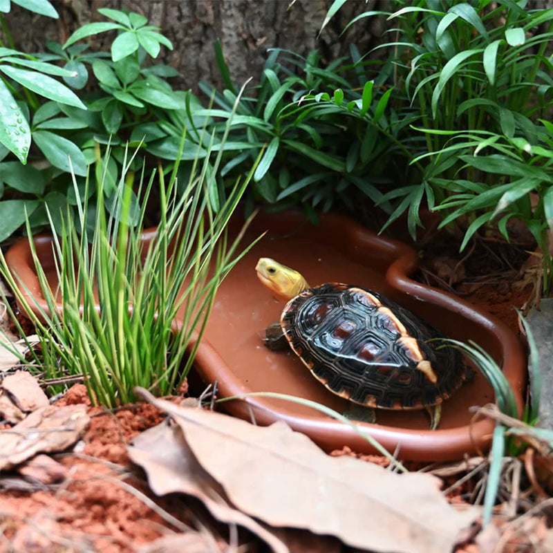 Flushbay Extra Large Reptile Bathing Pool Reptile Feeding Dish Water Bowl with Ramp Aquarium Ornament for Gecko, Snake, Turtle, Bearded Dragon, Lizard Bath (Brown) Brown - PawsPlanet Australia