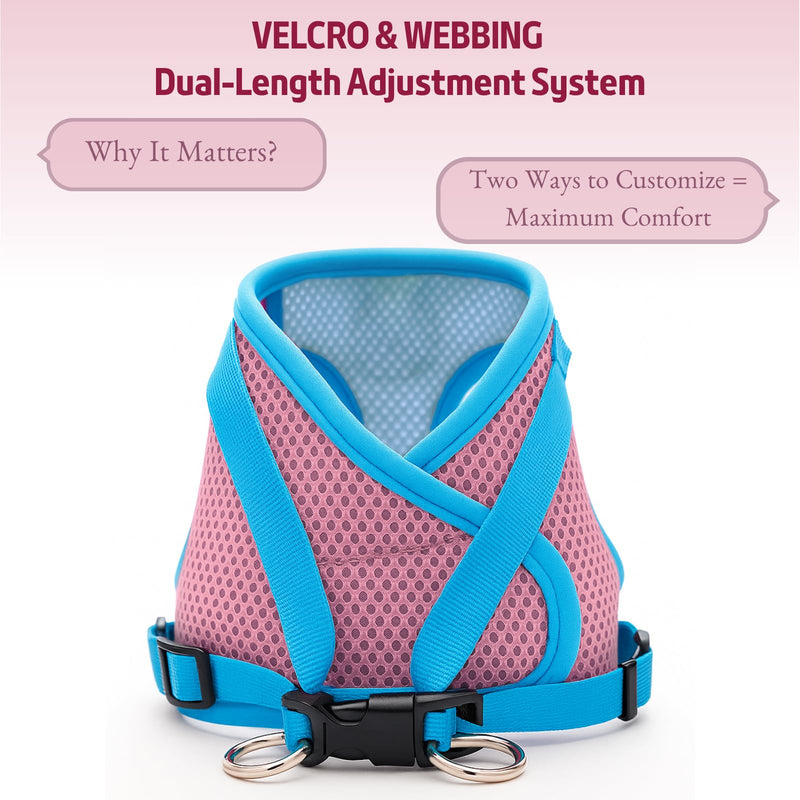 Small Dog Harness and Leash Set, Adjustable Step-in Dog Harness with Back Clip, Reflective Escape Proof Easy Walk Dog Harness for Small Sized Dog, Puppy, Cats (PinkBlue S) Pink+Blue - PawsPlanet Australia