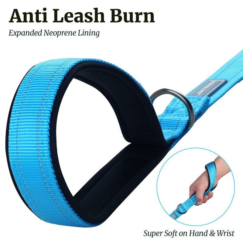 VIVAGLORY Dog Leash Dailyx Pet Leash with Soft Padded Handle for Training & Walking, Heavy Duty & Double Layer Nylon for Pet Puppy, 4ft x 1in, Lake Blue Leash (4 ft. x 1 in.) - PawsPlanet Australia