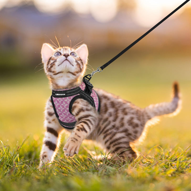 CatRomance Cat Harness and Leash Escape Proof for Walking, Safe Adjustable Large Kitten Vest Set with Reflective Strip for Kitty, Easy Control Comfortable Soft Outdoor Pet Harnesses, Pink, Large L: Chest 12.0-14.5" - PawsPlanet Australia