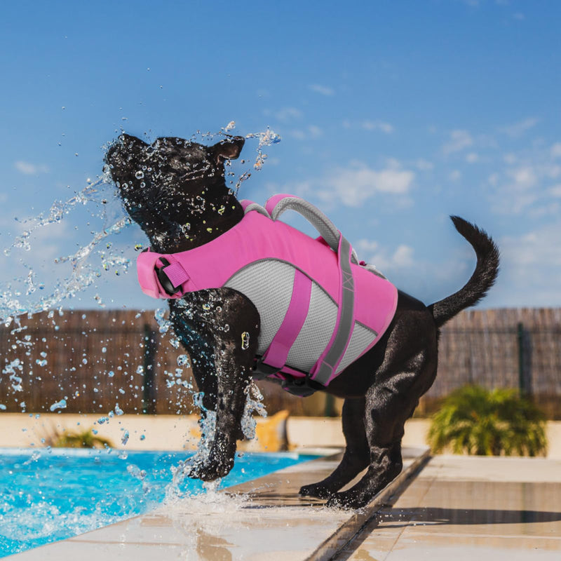 Queenmore Dog Life Vest for Swimming, Adjustable High Visibility Dog Life Jacket with Superior Buoyancy and Rescue Handle, Pink, M Medium - PawsPlanet Australia