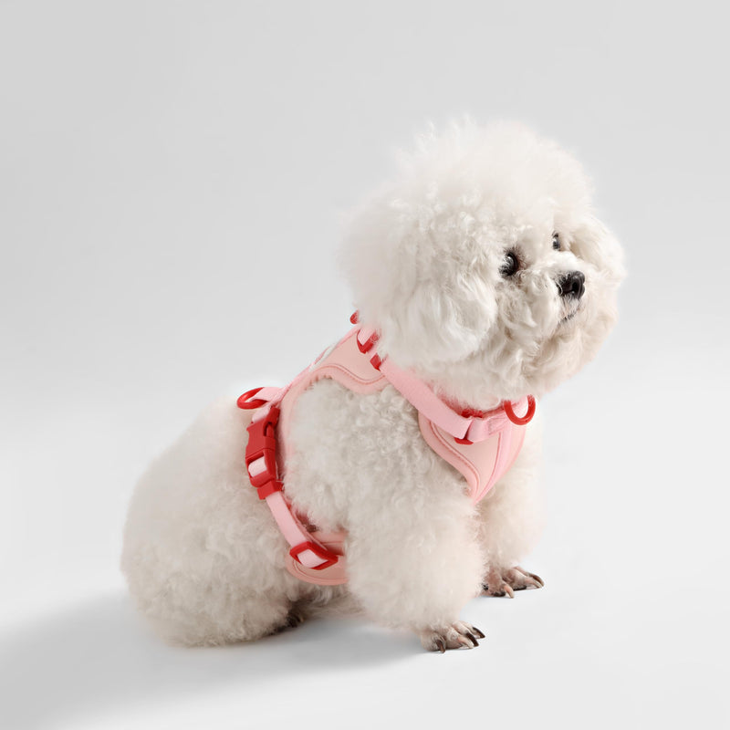 HNS1001G Arlo Small Adjustable Soft Padded No Pull Pet Harness with 3 Buckles and 3 Leash Clips, Paloma Pink Small (Chest: 14 - 22") - PawsPlanet Australia