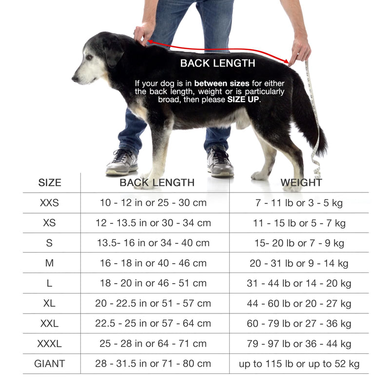 Dog Robe - Luxurious Dog Bathrobe - Ultra Absorbent Dries Your Dogs in Minutes! Double-Layer, Super Soft Towel and Bath Robe All in One (XXL, Dusty Pink) XXL - PawsPlanet Australia