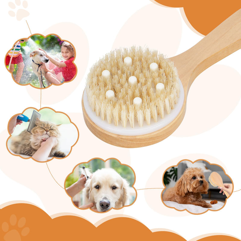 Dog Bath Brush Pet Shampoo Handle Bath Brush with Massage Points Dog Grooming/Washing/Massaging Wooden Brush Natural Bristle Dog Brush Removal Loos Hair for Cats Dogs - PawsPlanet Australia