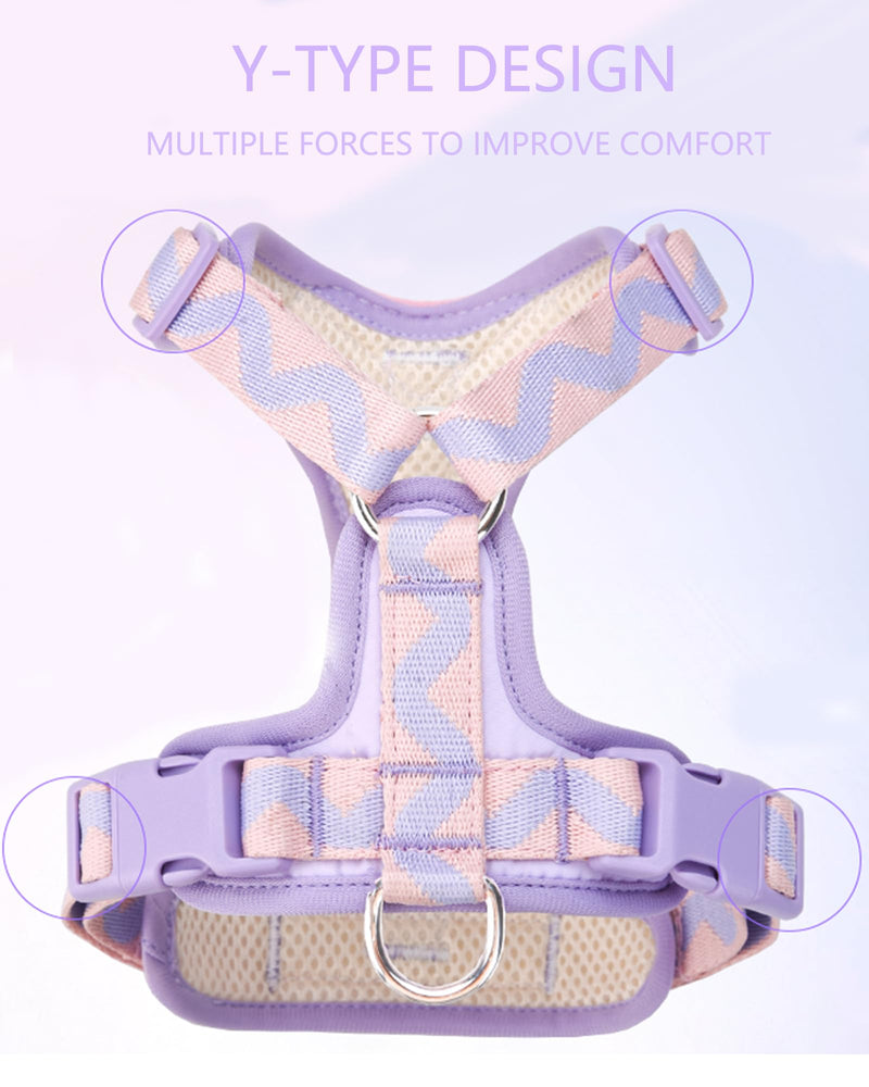 Brown xs Dog Harness for Small Dogs, No Pull Dog Harness with 2 Leash Clips, Puppy Harness, Dog Vest Harness (Brown, XS) Brown - PawsPlanet Australia