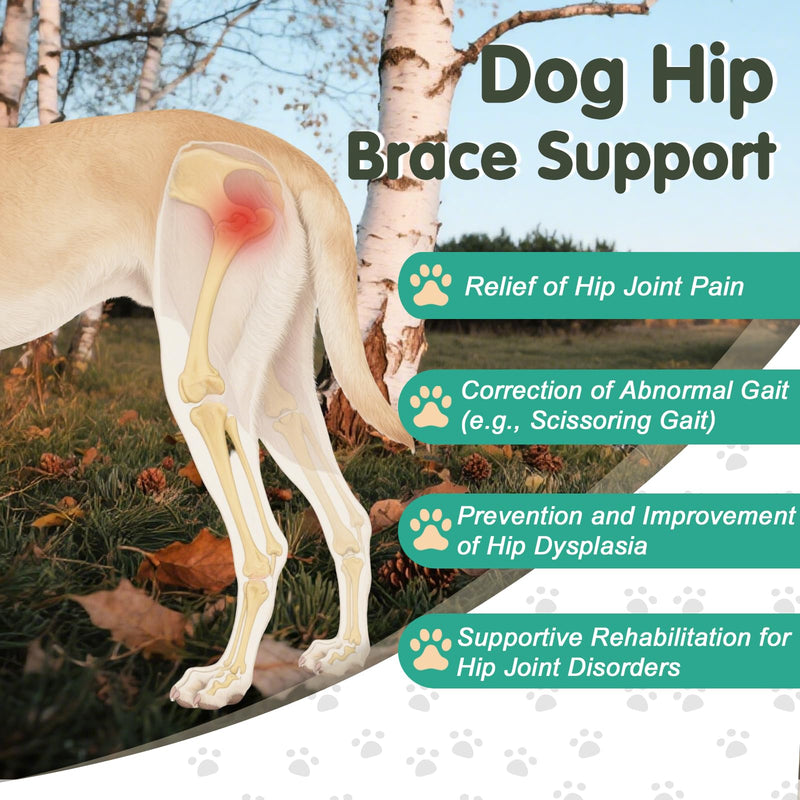 Dog Hip Orthotics Brace, Dog Hip Dysplasia Brace, Support for Hip Dysplasia, Arthritis, Luxating Patella, Back Leg limping, Relieve Hip Pain and Orthodontic Assistance - Large L