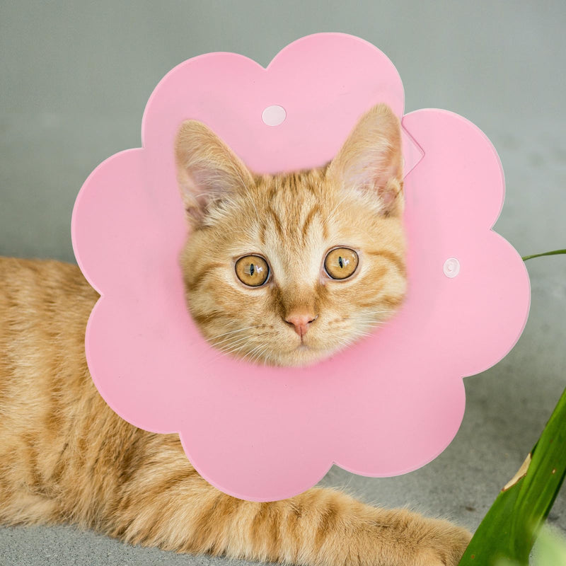 POPETPOP Adjustable Cat Neck Brace for Wound Healing Made of Breathable Material with Anti-Leak Protection for Cats After Surgery and Care