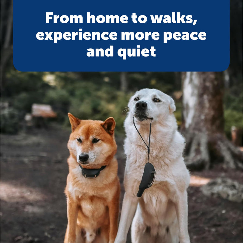 PetSafe Pro Trainer Add-A-Dog Collar - Waterproof & Rechargeable Remote Behavior Training Collar - Double Pairing Compatible for Multi-Pet Households - Small/Medium Little Dog (Lite) - PawsPlanet Australia