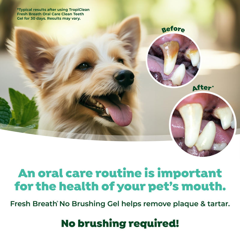 TropiClean Fresh Breath No Brushing Clean Teeth Dental & Oral Care Gel for Dogs, 4oz - 3 Pack Original ﻿4 Fl Oz (Pack of 3) - PawsPlanet Australia
