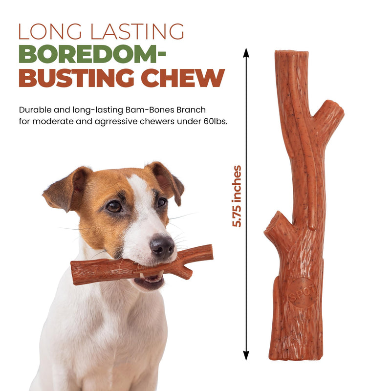 SPOT Bam-bones PLUS Branch -Bamboo Fiber & Nylon, Durable Long Lasting Dog Chew for Aggressive Chewers – Great Toy for Adult Dogs & Teething Puppies under 60lbs, Non-Splintering, 5.75in, Beef Flavor Medium - PawsPlanet Australia